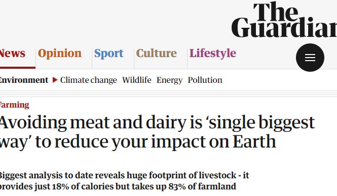 Avoiding meat and dairy is ‘single biggest way’ to reduce your impact on Earth