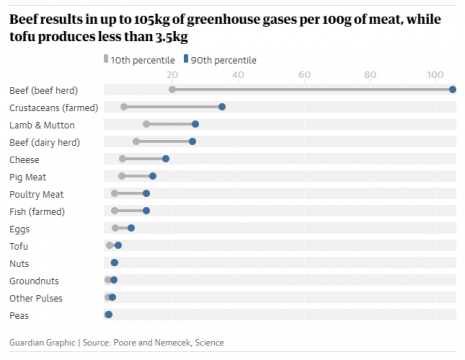 Avoiding meat and dairy is ‘single biggest way’ to reduce your impact on Earth