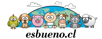 esbueno.cl
